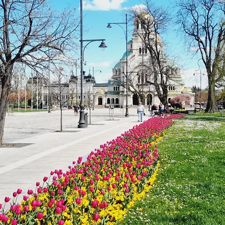 Διαμέρισμα Tulip Dreamland