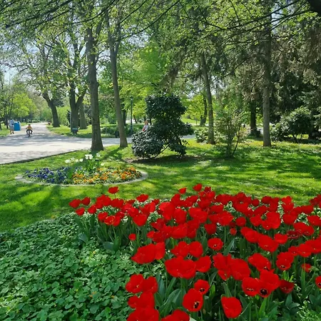 Apartment Tulip Dreamland