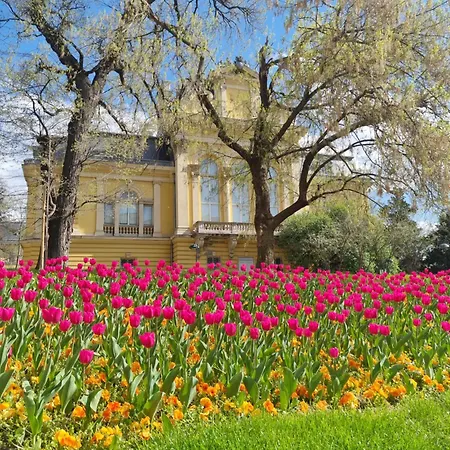 Apartment Tulip Dreamland